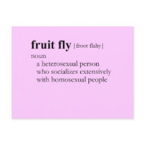 FRUIT FLY (definition)