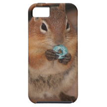 Fruit Loop iphone 5 case