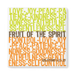Fruit of the Spirit magnets