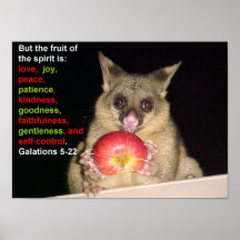Fruit of The Spirit Posters