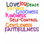 Fruit of The Spirit t-shirts