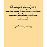 Fruit of the Spirit t-shirts