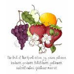 Fruit of the Spirit t-shirts