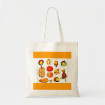 Fruit Sac-Botanicals-Orange