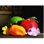 Fruit Still Life Srawberry Strawberries Limes Pepp Acrylic Cut Outs