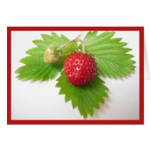 Fruit - Wild Strawberry Greeting Card