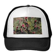 Fruited prickly pear cactus, Sonoran Desert Mesh Hat