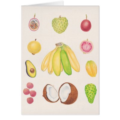 Fruits 2 card by joeyartist
