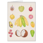 Fruits 2 card