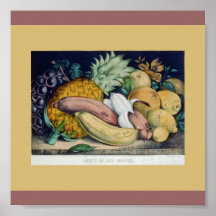 Fruits of the Season Print