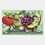 Fruits Rectangular Stickers