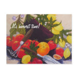 Fruits & Vegetables Medley Postcard
