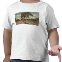 Ft. Lauderdale, Florida - View of Las Olas T-shirts