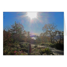 Ft. Tryon Park Sun 5x7 Cards