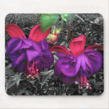 Fuchsia Flower Mousepads