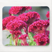 Fuchsia Flowers Mousepad