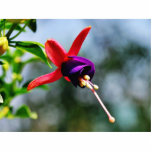 Fuchsia Flowers Purple Acrylic Cut Outs
