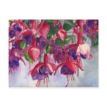 Fuchsia Lore Post Card