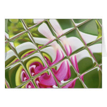 Fuchsia 'Mini Rose' Greeting Cards
