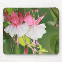 Fuchsia Mouse Pads