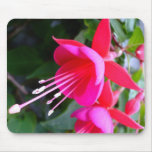 Fuchsia Mousepad