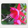 Fuchsia Mousepad