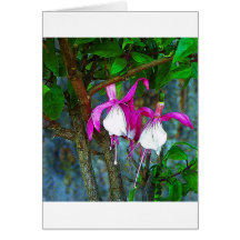 Fuchsia Pink Greeting Card