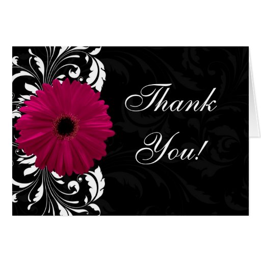 Fuchsia Scroll Gerbera Daisy w/Black and White Greeting Cards