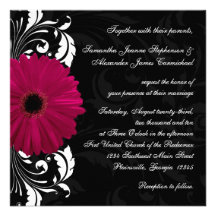 Fuchsia Scroll Gerbera Daisy w/Black and White Invites