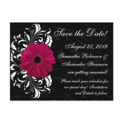 Fuchsia Scroll Gerbera Daisy w/Black and White Postcard by CustomInvites