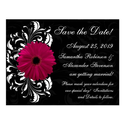 Fuchsia Scroll Gerbera Daisy w/Black and White Postcard