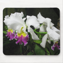 Fuchsia, yellow  and white orchid mousepad