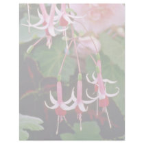 Fuchsias W/ Crimson Centres flowers Custom Letterhead