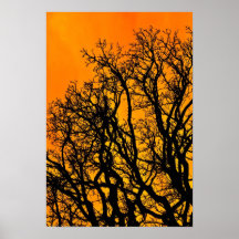 Fuego Posters