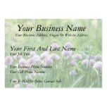 Full Bloom - Chive Flowers Business Card Template
