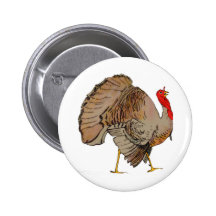 Full Colour Thanksgiving Turkey Button