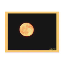 Full Harvest Moon Postcard