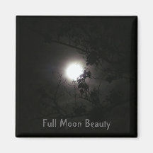 Full Moon Beauty Fridge Magnets