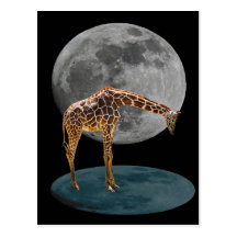FULL MOON GIRAFFE POSTCARD