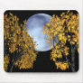 Full Moon Mouse Pad