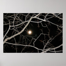 Full Moon on the Web poster
