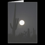 Full Moon over the Desert cards