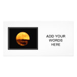 Full Moon Picture Card
