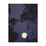 Full Moon postcards