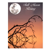 Full Moon Rising postcard