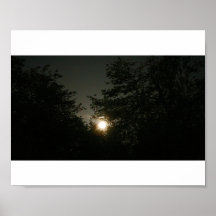 Full Moon & Trees Print