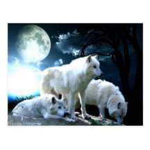 Full Wolf Moon Postcards