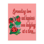 Fun Butterfly and Ladybug Gifts Post Cards