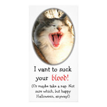 Fun Cards -- Halloween Card Photo Card