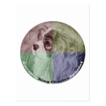 Fun Cavalier King Charles Spaniel Postcards